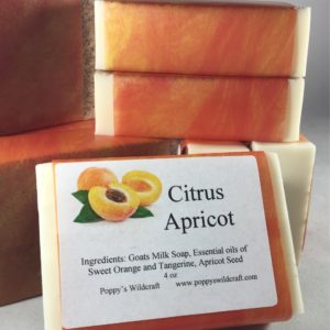 Soap - Citrus Apricot