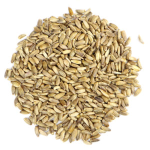 Botanical - Milk Thistle Seed (1 oz.)