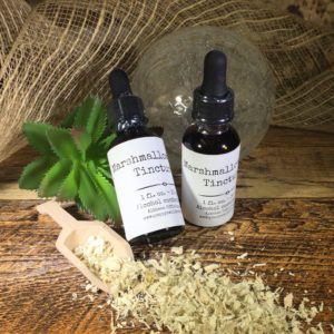 Tincture - Marshmallow Root, Respiratory & Urinary Support
