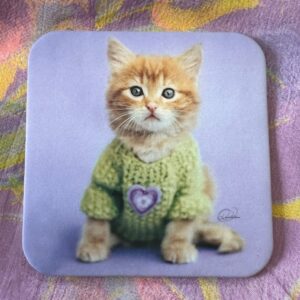 Coaster - Kitten with Sweater