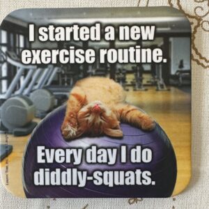 Coaster - Cat- Diddly Squats