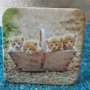 Coaster - Kittens